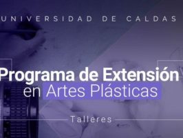 Brochure de programa de extensión de artes plásticas