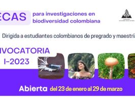 becas colombia biodiversa