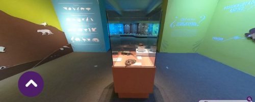 Muestra virtual de museo de la Universidad de Caldas