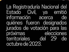 designados jurados de votación