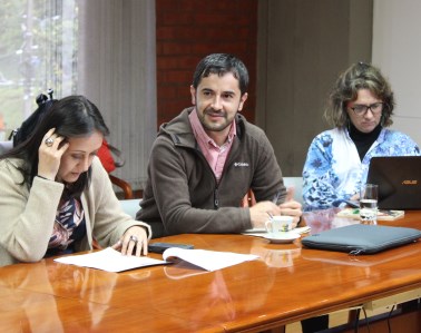 pares academicos (1)