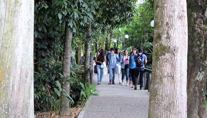 MOMENTO-U.-CALDAS-2017-(3)-compressor (1)