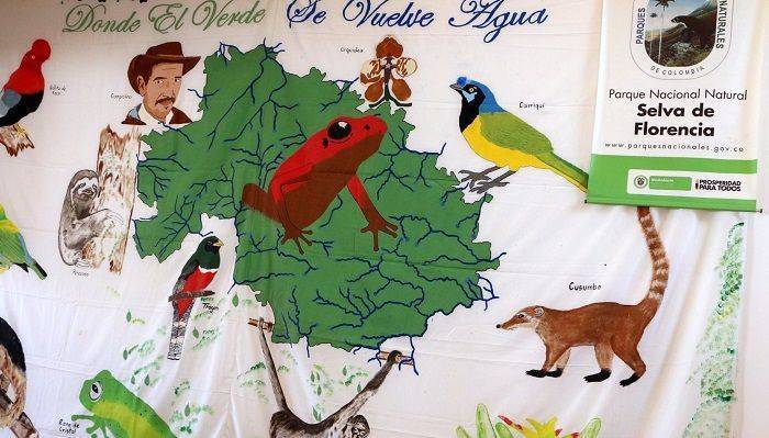 selvaflorencia-compressor