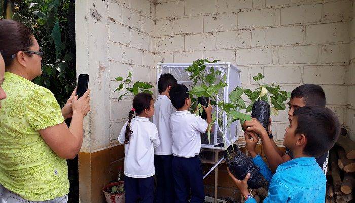 WhatsApp Image 2018-11-06 at 5.30.30 PM WhatsApp Image 2018-11-06 at 5.30.30 PM