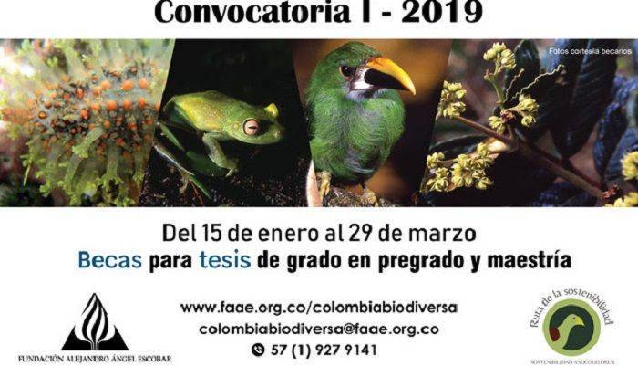 colombiabiodiversa-compressor