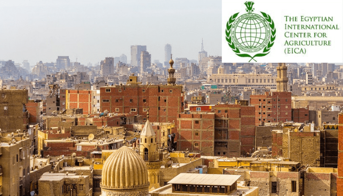 becas-egipto-compressor