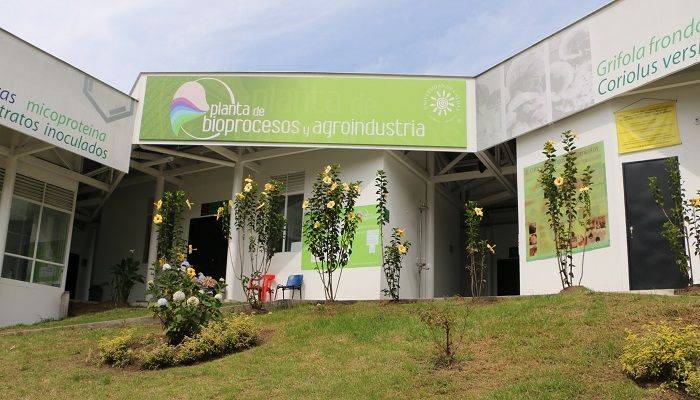 plantabioprocesos-compressor