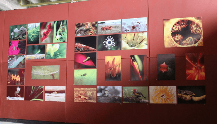 EXPOSICION-FOTOGRAFICA-compressor