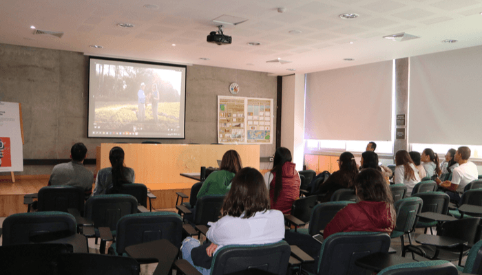 ALERGENOS-compressor