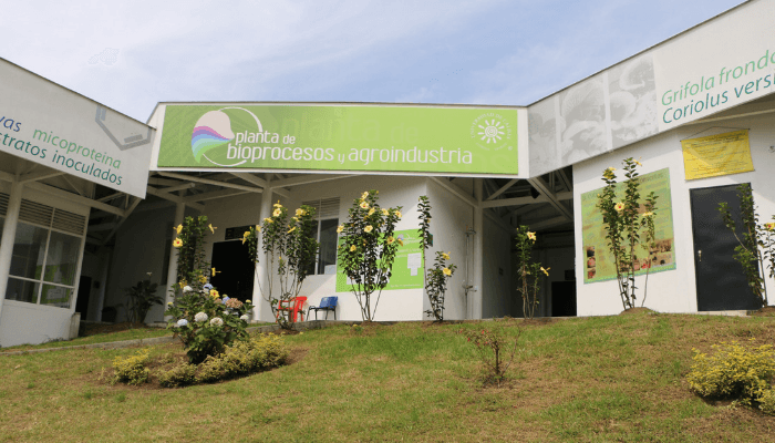 PLANTA-BIOPROCESOS-compressor