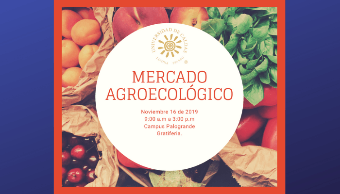 MERCADO-AGROECOLOGICO-compressor