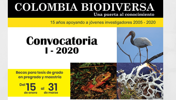 COLOMBIA-BIODIVERSA-compressor