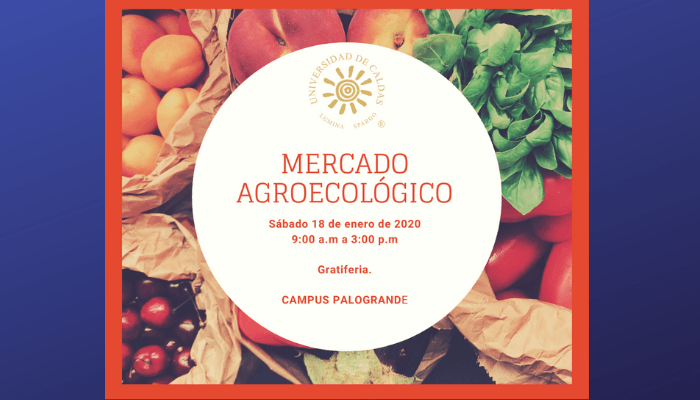 MERCADO-AGROECOLOGICO-compressor