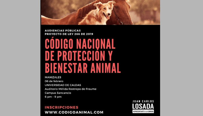 AUDIENCIA-compressor