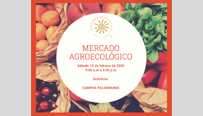 MERCADO-AGROECOLOGICO-compressor