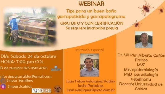 webinar webinar