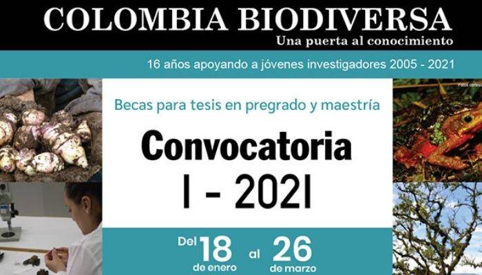 becas colombia becas colombia