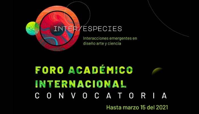 fest imagen fest imagen