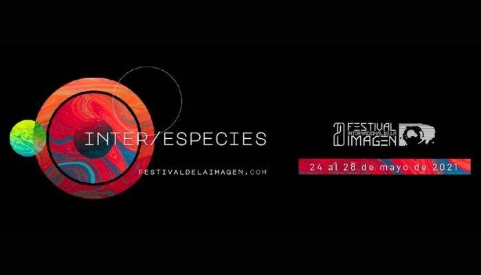festival imagen