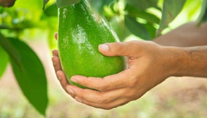 WhatsApp Image 2021-06-18 at 6.22.54 PM