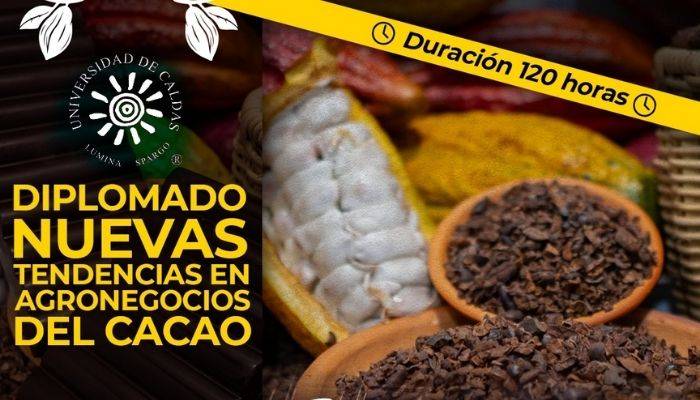 diplomado cafe