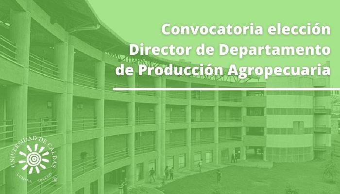 director de departamento
