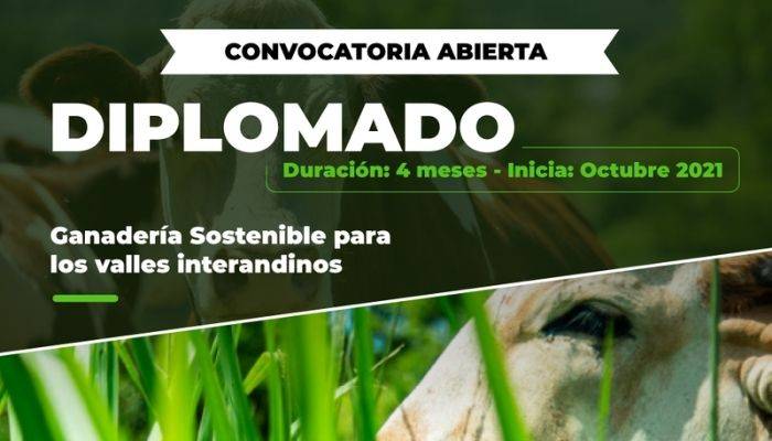 diplomado ganaderia