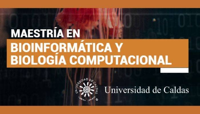 bioinformatica