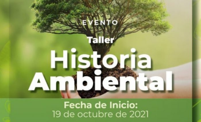 taller ambiental taller ambiental