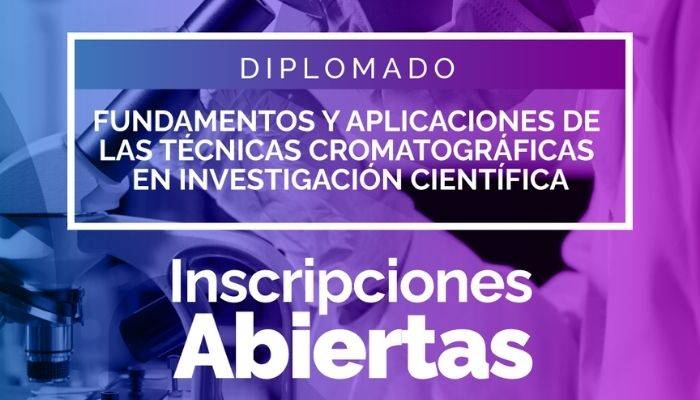 inscripciones diplomado