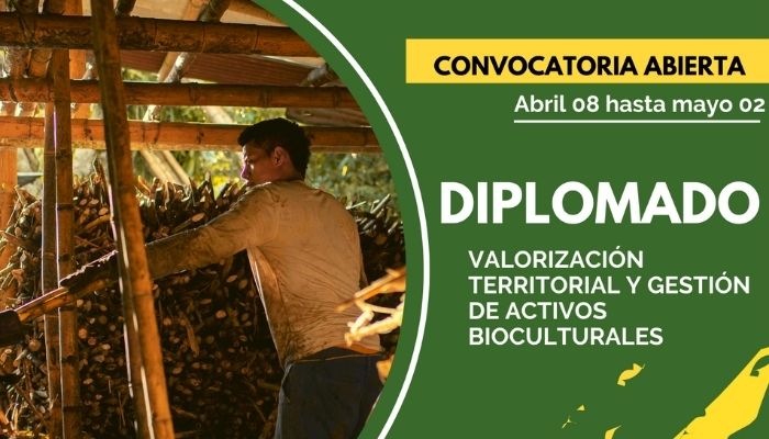 Convocatoria diplomado: “Valorización territorial y gestión de activos bioculturales”