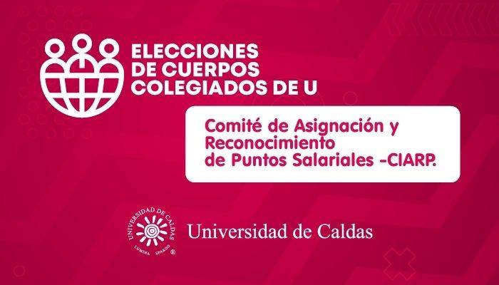 el Comité CIARP buscará suplir las dos representaciones docentes con sus respectivos suplentes.