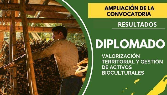 En total fueron 23 estudiantes regulares admitidos y 16 actores estratégicos territoriales e institucionales.