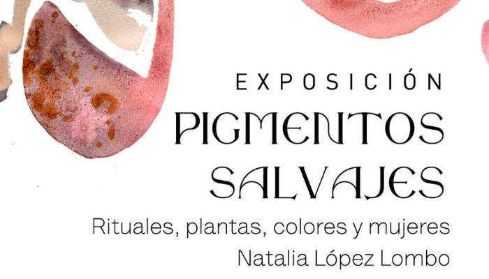 Visite exposición artística en la Alianza Colombo Francesa