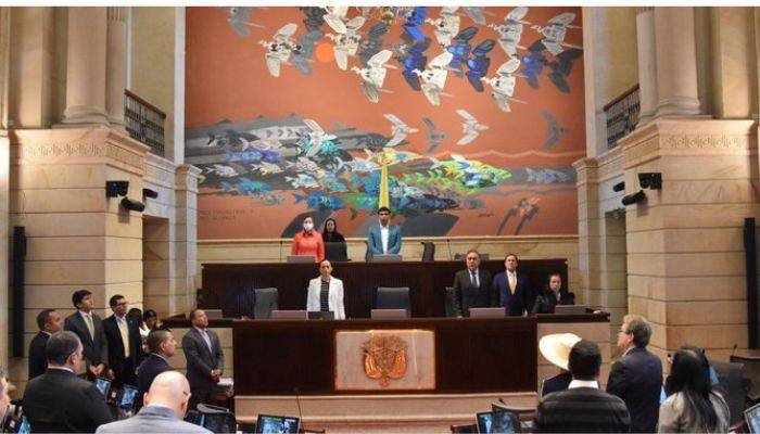 Plenaria Cámara de Representantes