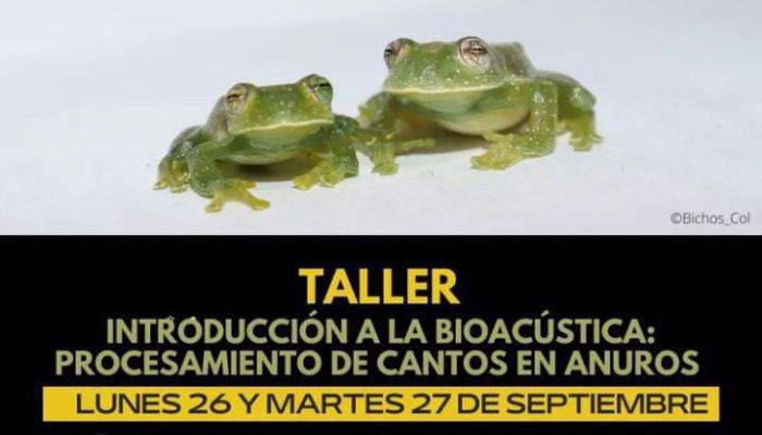 inscripciones abiertas al taller