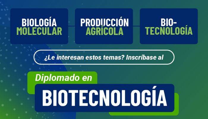 Convocatoria hasta el 14 de septiembre