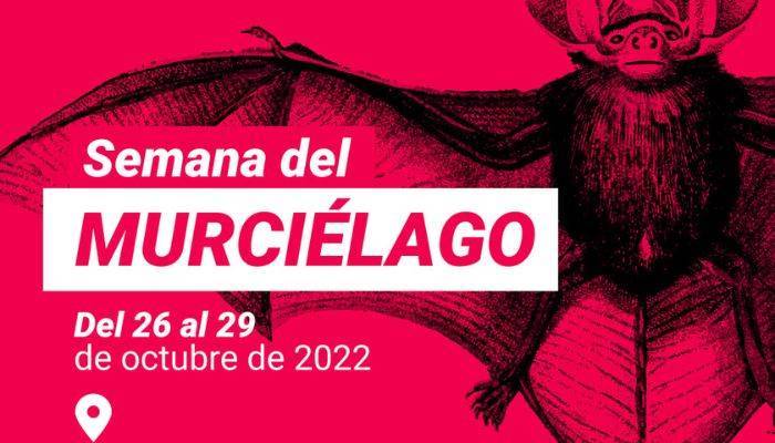 murcielago actividades para todos los públicos