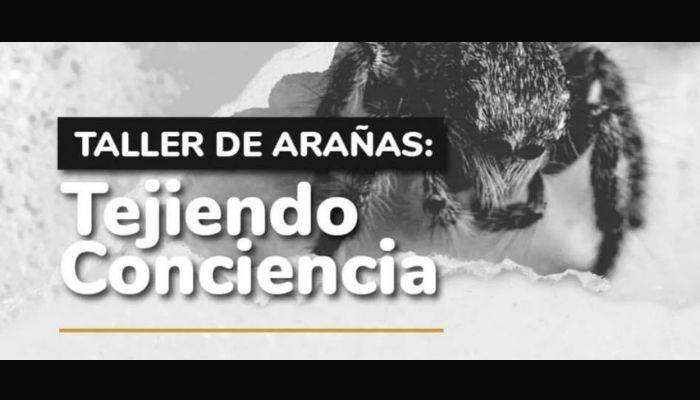 Evento organizado por el centro de museos