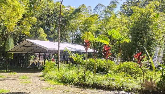 Jardín Botánico hace parte de la estrategia Bioblitz del Instituto Humboldt