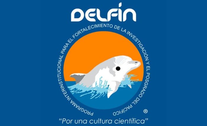 delfin