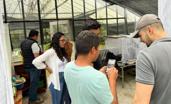 becas jóvenes líderes