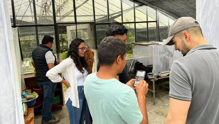 becas jóvenes líderes
