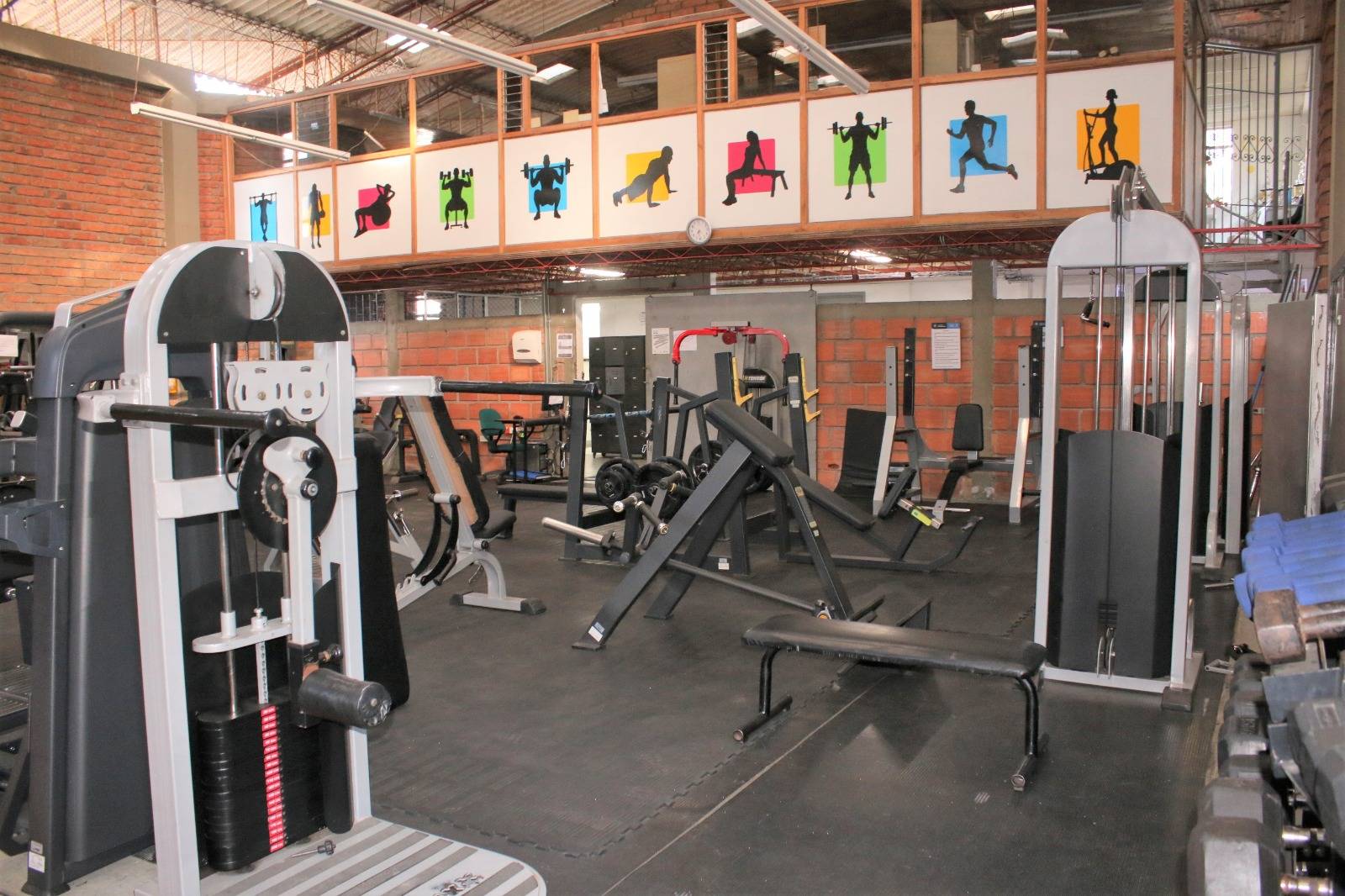 Fotografía de algunas máquinas del gimnasio de la Universidad de Caldas