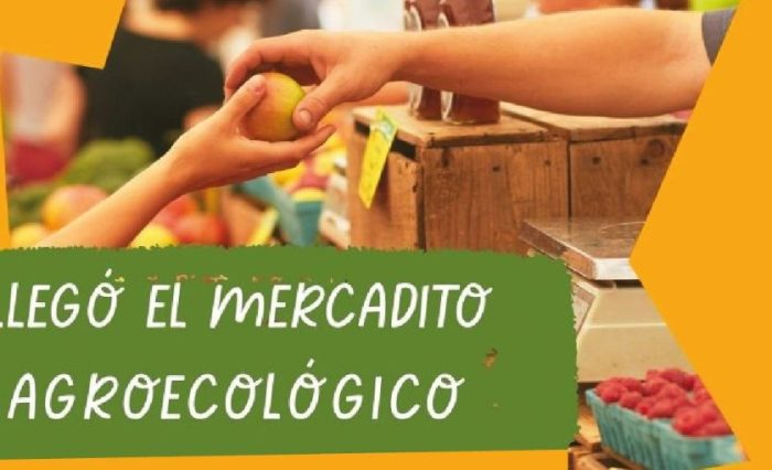 imagen promocional del mercado agroecológico