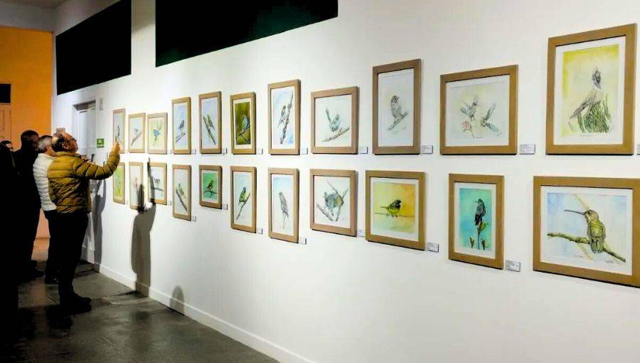 exposición de aves en museos