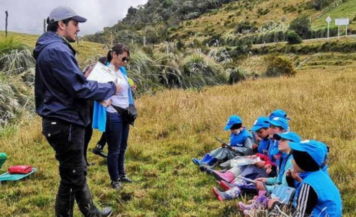 niños en actividad de apropiación del conocimiento