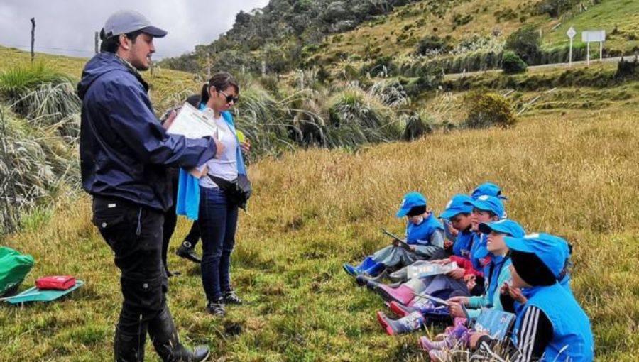 niños en actividad de apropiación del conocimiento