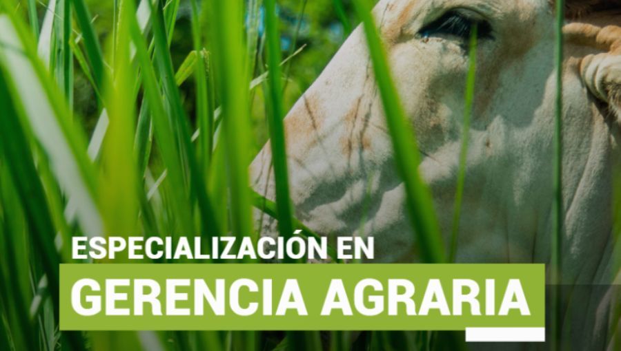 imagen promocional de la especialización
