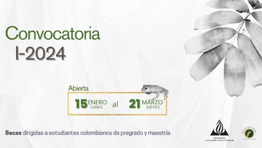 imagen convocatoria becas colombia